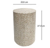 GOLDIE CIRCULAR MOTHER OF PEARL STOOL/SIDE TABLE SIDE TABLE Philbee Interiors 